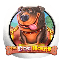The Dog House